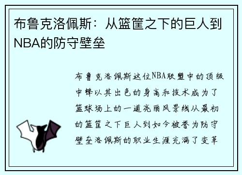 布鲁克洛佩斯：从篮筐之下的巨人到NBA的防守壁垒